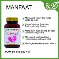 Gambar Obat Herbal Myoma Kista Naturindo Cysto Up dari Jamu Modern Naturindo Kab. Bandung 2 Tokopedia