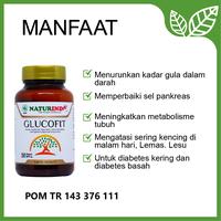 Gambar Obat Herbal Diabetes Gula Darah Nutrisi Pankreas Naturindo GLUCOFIT dari Jamu Modern Naturindo Kab. Bandung 2 Tokopedia