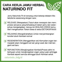 Gambar Obat Herbal Diabetes Gula Darah Nutrisi Pankreas Naturindo GLUCOFIT dari Jamu Modern Naturindo Kab. Bandung 4 Tokopedia