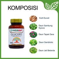 Gambar Obat Herbal Diabetes Gula Darah Nutrisi Pankreas Naturindo GLUCOFIT dari Jamu Modern Naturindo Kab. Bandung 3 Tokopedia
