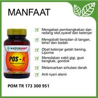 Gambar Obat Herbal Anti Bengkak Radang Otot Syaraf Kelenjar Naturindo POS K dari Jamu Modern Naturindo Kab. Bandung 2 Tokopedia