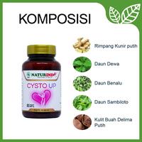Gambar Obat Herbal Myoma Kista Naturindo Cysto Up dari Jamu Modern Naturindo Kab. Bandung 3 Tokopedia