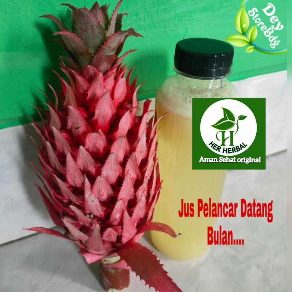 jus buah nanas untuk pelancar datang bulan
