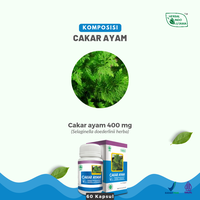 Gambar Herba Cakar Ayam Untuk Radang Tenggorokan Herbal Indo Utama isi 60 Kap dari Herbal Indo Utama Store Kab. Magelang 4 Tokopedia