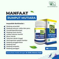 Gambar Rumput Mutiara Obat Amandel Radang Tenggorokan Herbal Indo Utama 60 Kp dari Herbal Indo Utama Store Kab. Magelang 5 Tokopedia