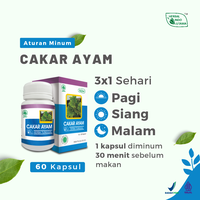 Gambar Herba Cakar Ayam Untuk Radang Tenggorokan Herbal Indo Utama isi 60 Kap dari Herbal Indo Utama Store Kab. Magelang 5 Tokopedia