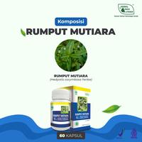Gambar Rumput Mutiara Obat Amandel Radang Tenggorokan Herbal Indo Utama 60 Kp dari Herbal Indo Utama Store Kab. Magelang 4 Tokopedia