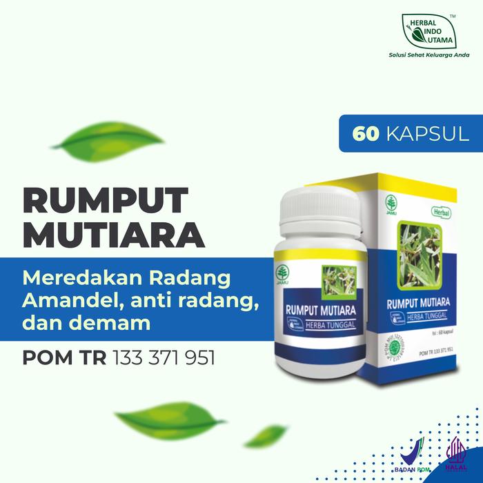 Gambar Rumput Mutiara Obat Amandel Radang Tenggorokan Herbal Indo Utama 60 Kp dari Herbal Indo Utama Store Kab. Magelang Tokopedia