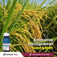 Gambar Fungisida Zpt Amistartop 325 SC 50 Ml Basmi Jamur dari PUROTANI.ID Kab. Purworejo 1 Tokopedia