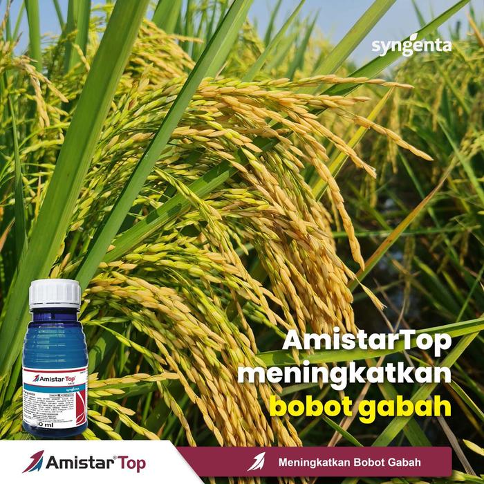 Gambar Fungisida Zpt Amistartop 325 SC 50 Ml Basmi Jamur dari PUROTANI.ID Kab. Purworejo Tokopedia