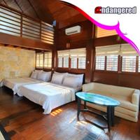 Gambar Paket Wisata Tour Pulau Umang Banten dari Endangered Store Kota Administrasi Jakarta Utara 4 Tokopedia