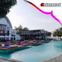 Gambar Paket Wisata Tour Pulau Umang Banten dari Endangered Store Kota Administrasi Jakarta Utara 3 Tokopedia