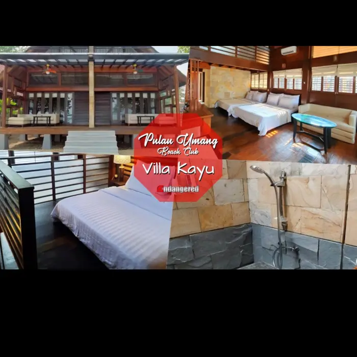 Gambar Paket Wisata Tour Pulau Umang Banten dari Endangered Store Kota Administrasi Jakarta Utara 5 Tokopedia