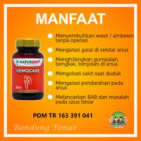 Gambar Obat Herbal Wasir, Ambeien & Pembersih Usus Naturindo HEMOCARE dari Jamu Modern Naturindo Kab. Bandung 3 Tokopedia