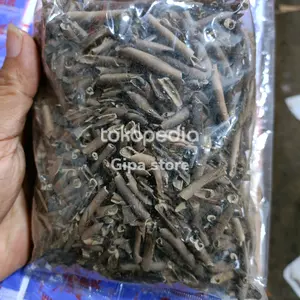 ampo tanah liat sangrai / penghilang pahit daun pepaya 500gram