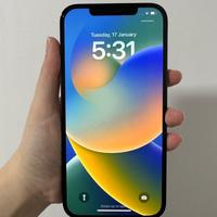 Gambar IPHONE 12 PROMAX 256 PACIFIC BLUE dari wielsbeke batam Kota Batam 2 Tokopedia