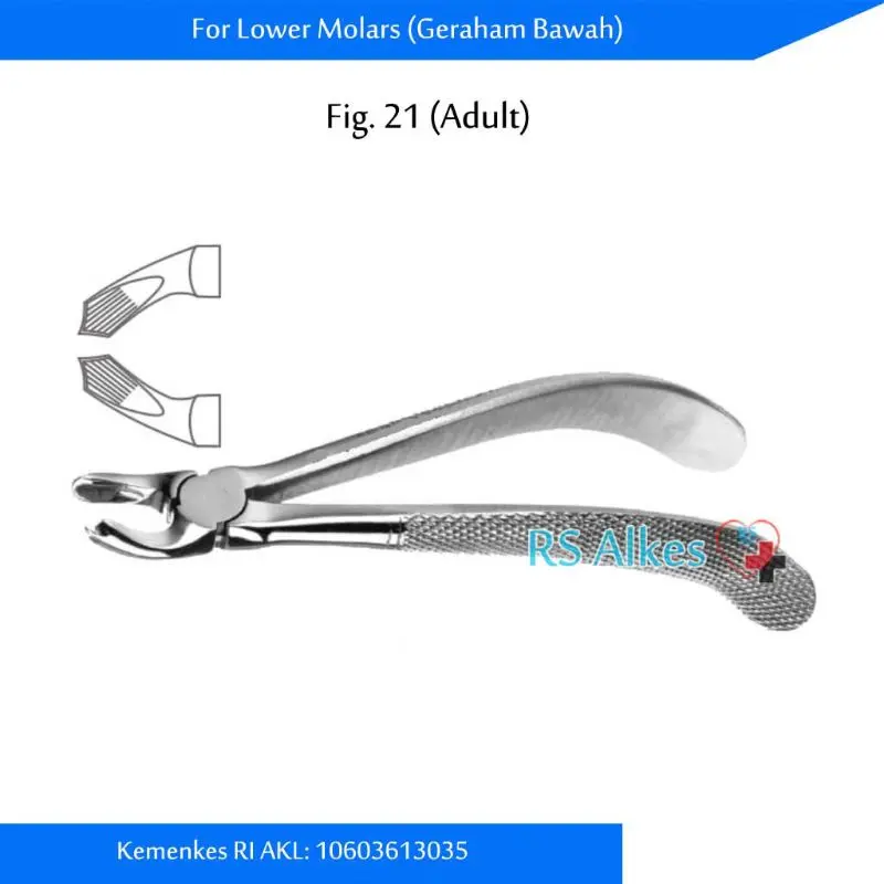 Tang Cabut Gigi Dewasa Tooth Extracting ORI Marwa 22-79