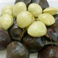 Gambar jengkol kupas muda dari sayurmamadian Kota Tangerang Selatan 1 Tokopedia
