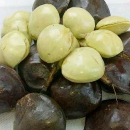 Gambar jengkol kupas muda dari sayurmamadian Kota Tangerang Selatan Tokopedia