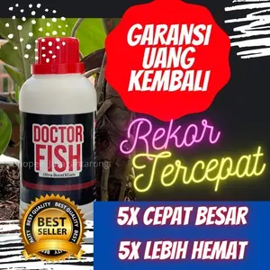 Probiotik Ikan Koi,Probiotik Ikan Mas,Probiotik Pakan Ikan Koi,2