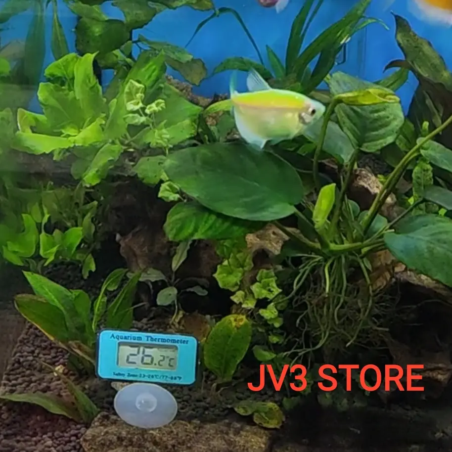 LCD Digital Fish Tank Aquarium Thermometer LCD Digital Aquarium