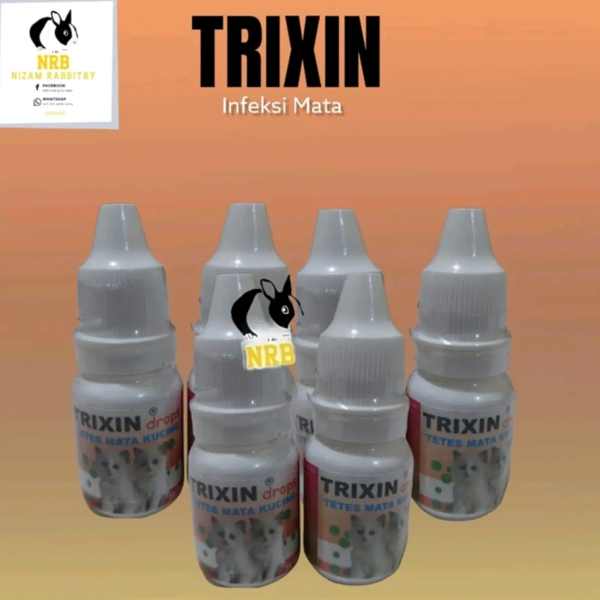 Obat Tetes Infeksi Mata Kucing Kitten Trixin Drop 10ml