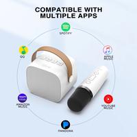 Gambar Fifine E1 - Portable Karaoke Wireless Microphone with Speaker dari Urban Digi Essentials Kota Administrasi Jakarta Selatan 4 Tokopedia