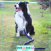 Gambar Tali Tuntun Anjing Besar Leash dan Collar Set dari Mumu Pet Market Kab. Tangerang 5 Tokopedia