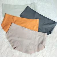 Gambar CELAN DALAM BAHAN NYLON PREMIUM POLOS ANTI BAKTERI IMPORT CD554 dari VAS-HION Kab. Tangerang 3 Tokopedia