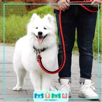 Gambar Tali Tuntun Anjing Besar Leash dan Collar Set dari Mumu Pet Market Kab. Tangerang 1 Tokopedia