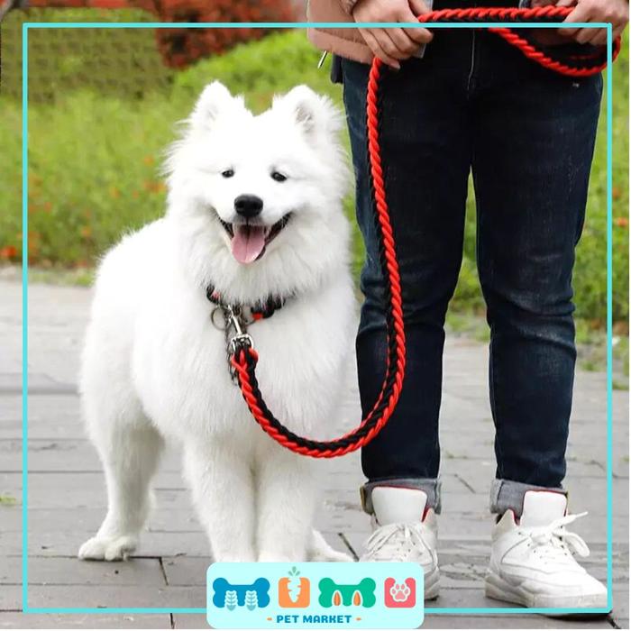 Gambar Tali Tuntun Anjing Besar Leash dan Collar Set dari Mumu Pet Market Kab. Tangerang Tokopedia