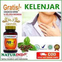Gambar POS K JAMU OBAT KELENJAR TIROID HIPERTIROID dari FARMA PLUS Jakarta Utara 1 Tokopedia