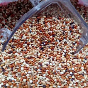 MILET CAMPUR KOMPLIT LENGKAP PAKAN BIJI CAMPUR 1 Kg UNTUK FINCH PARKIT LOVEBIRD KENARI DLL