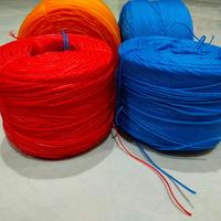 Gambar Tali Latto-latto - Tali tambang plastik 1mm dari Toko Kmz1 Kab. Tangerang 2 Tokopedia