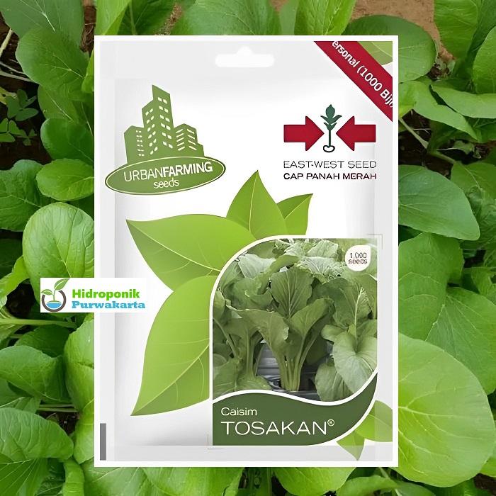 Gambar Benih Sawi Caisim TOSAKAN Cap Panah Merah Isi 1000 Butir dari Hidroponik Purwakarta Kab. Purwakarta Tokopedia