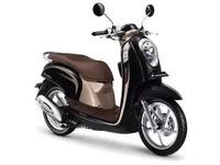 Gambar Keranjang Depan sayur barang Scoopy karbu 2008-2020 Fi Solid Tebal dari juragancod official Kab. Sidoarjo 5 Tokopedia