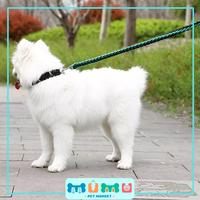 Gambar Tali Tuntun Anjing Besar Leash dan Collar Set dari Mumu Pet Market Kab. Tangerang 4 Tokopedia