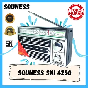 Radio SOUNESS SNI 4250 AC/DC