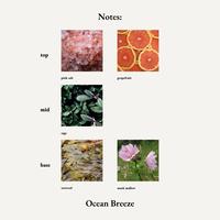 Gambar ASTREE - Ocean Breeze - Eau De Parfum - Perfume EDP 50ml dari astree parfumerie Kota Bandung 4 Tokopedia