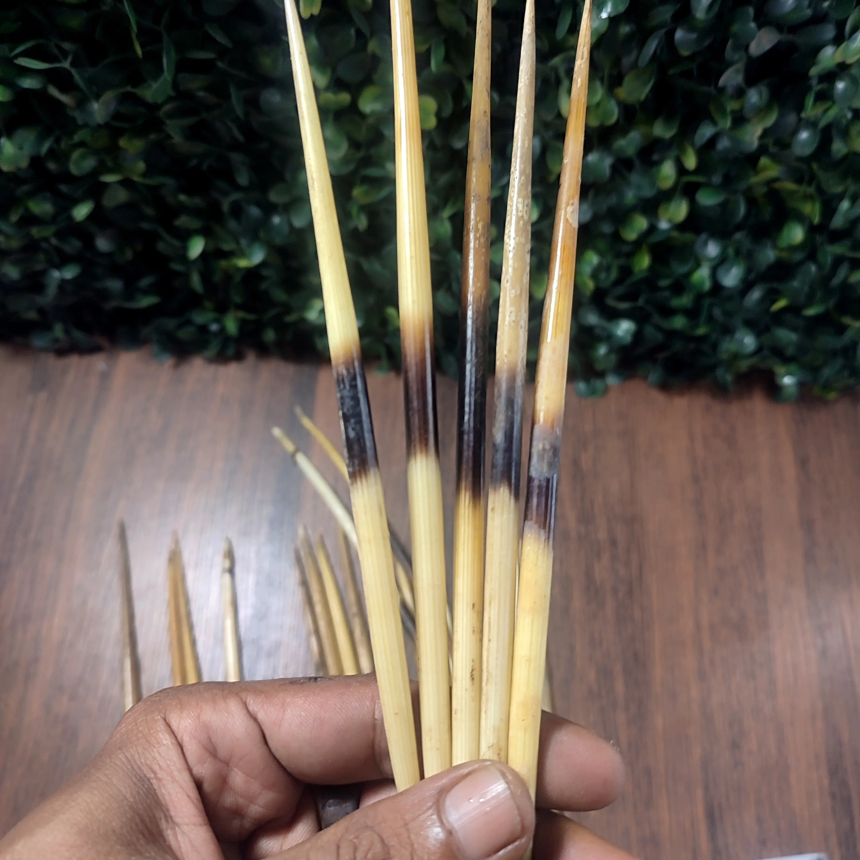 asesories bulu khas kalimantan