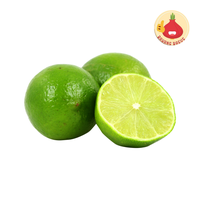 Gambar Jeruk Nipis 500gram - Bawangbagus dari BawangBagus Kota Tangerang 4 Tokopedia