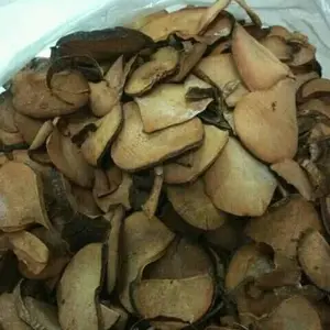 100gr biji alpukat kering