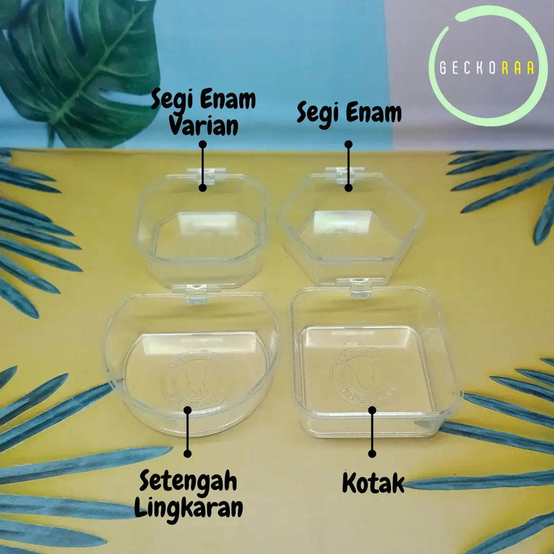 Tempat Makan Minum Cepuk Variasi Bentuk Reptil Gecko Burung Hamster