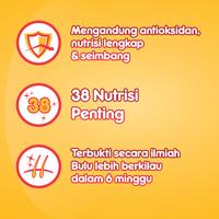 Gambar [PROMO] PEDIGREE Makanan Anjing Kering Ras Mini 1.3kg - Beef & Veg dari Pedigree Official Store Kota Tangerang 3 Tokopedia