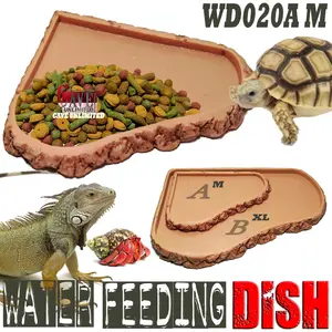 WD020A FEEDING DISH CORNER TEMPAT MAKAN REPTILE TORTOISE KURA SULCATA