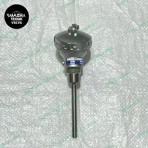 THERMO COUPLE TYPE K PANJANG 25CM MERK MTB