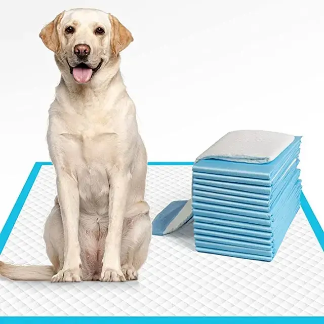 Underpad Alas Kandang Alas Pipis Pup Anjing Kucing D06