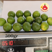 Gambar Jeruk Nipis 500gram - Bawangbagus dari BawangBagus Kota Tangerang 3 Tokopedia