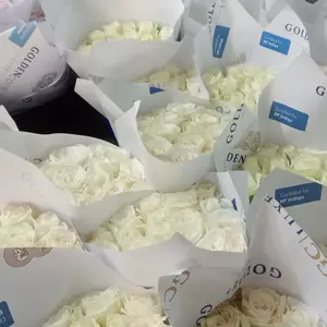 rose/mawar putih semy holand bandung isi. 20 tangkai