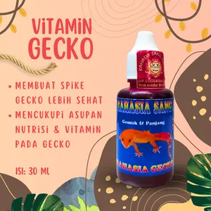VITAMIN GECKO MEMBUAT GECKO CEPAT PANJANG DAN GEMUK